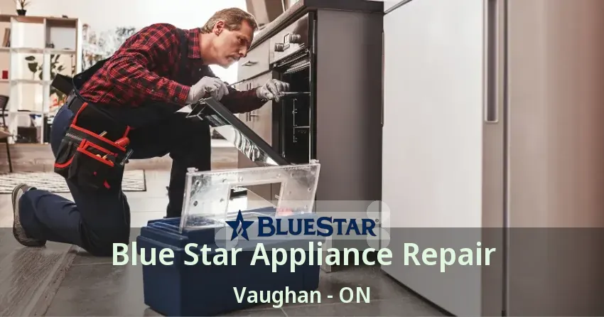 Blue Star Appliance Repair Vaughan - ON