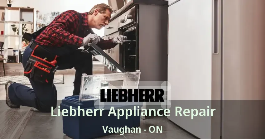 Liebherr Appliance Repair Vaughan - ON