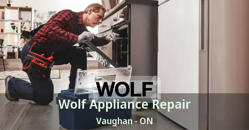 Wolf Appliance Repair Vaughan - ON