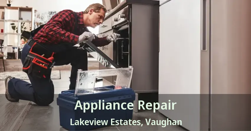 Appliance Repair Lakeview Estates, Vaughan - ON