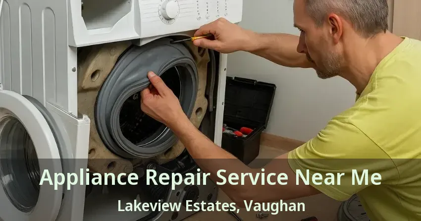 Appliance Repair Service Near Me Lakeview Estates, Vaughan - ON
