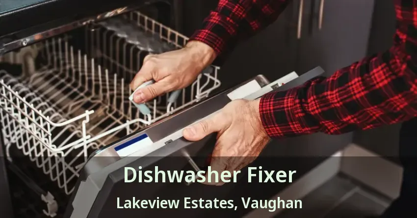 Dishwasher Fixer Lakeview Estates, Vaughan - ON