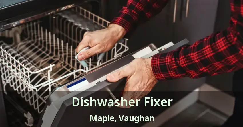 Dishwasher Fixer Maple, Vaughan - ON