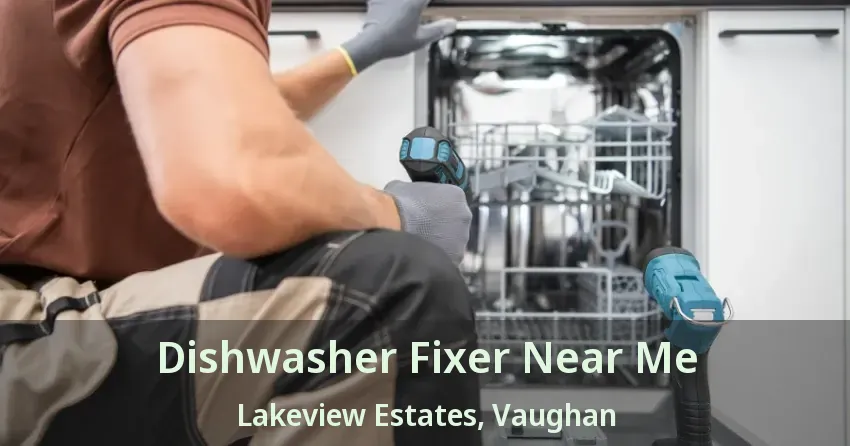 Dishwasher Fixer Near Me Lakeview Estates, Vaughan - ON