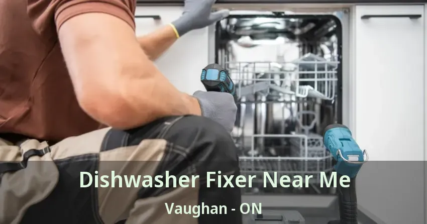 Dishwasher Fixer Near Me Vaughan - ON