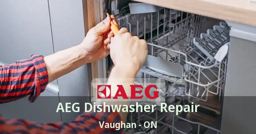 AEG Dishwasher Repair Vaughan - ON