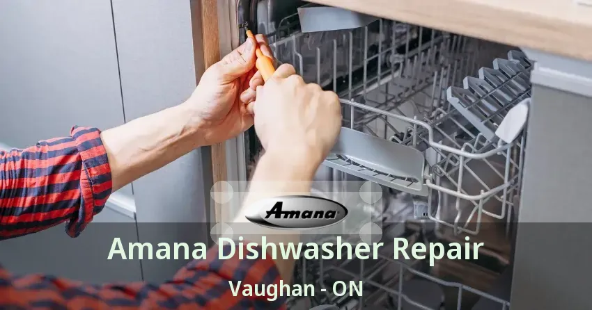 Amana Dishwasher Repair Vaughan - ON