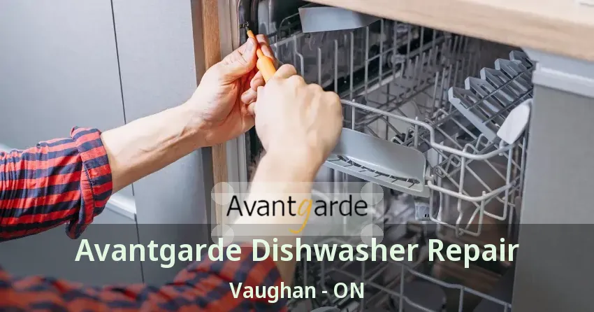 Avantgarde Dishwasher Repair Vaughan - ON