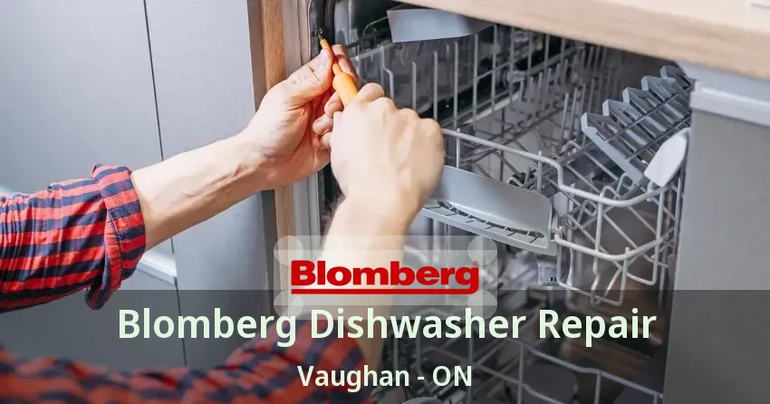 Blomberg Dishwasher Repair Vaughan - ON