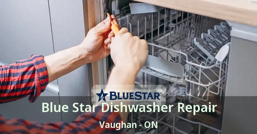 Blue Star Dishwasher Repair Vaughan - ON