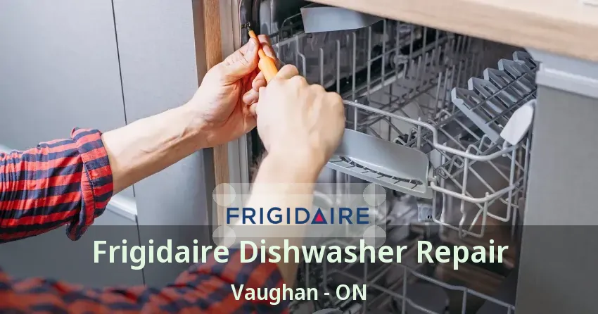 Frigidaire Dishwasher Repair Vaughan - ON