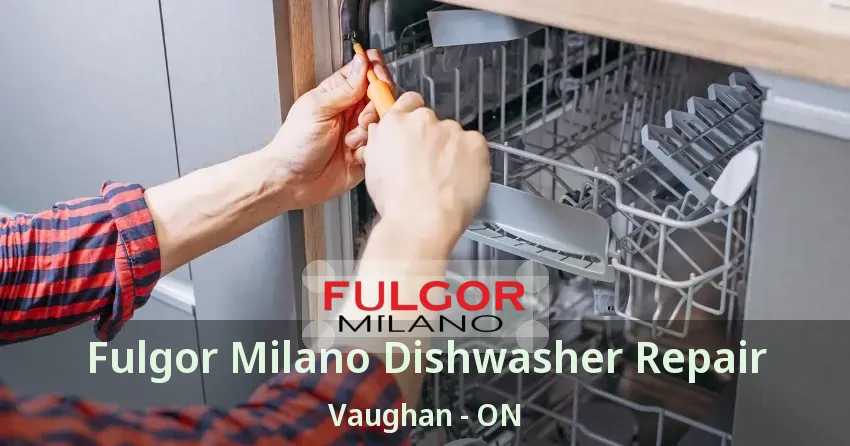 Fulgor Milano Dishwasher Repair Vaughan - ON