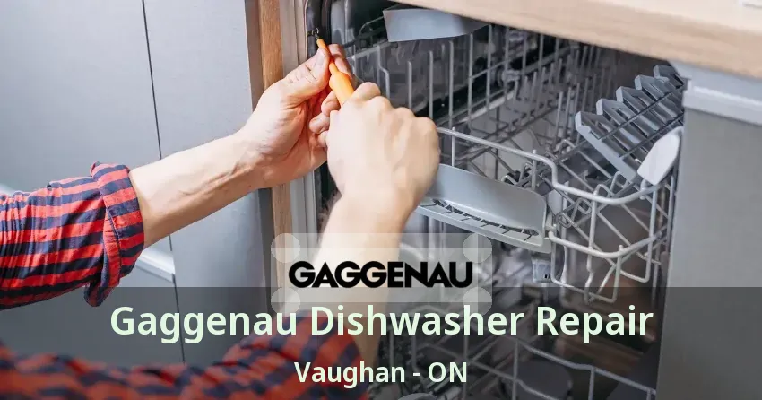 Gaggenau Dishwasher Repair Vaughan - ON