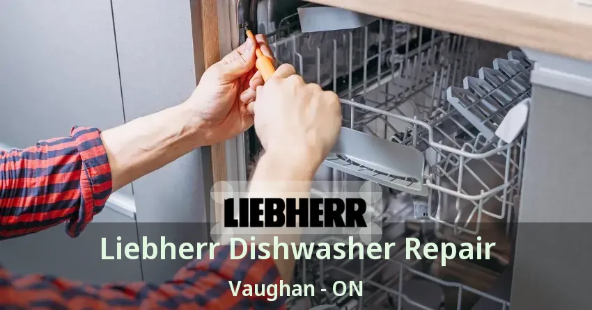 Liebherr Dishwasher Repair Vaughan - ON