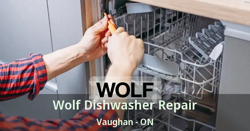 Wolf Dishwasher Repair Vaughan - ON