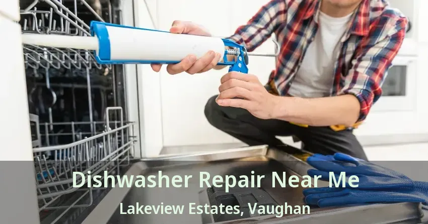 Dishwasher Repair Near Me Lakeview Estates, Vaughan - ON