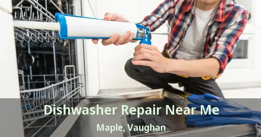 Dishwasher Repair Near Me Maple, Vaughan - ON