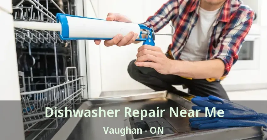 Dishwasher Repair Near Me Vaughan - ON