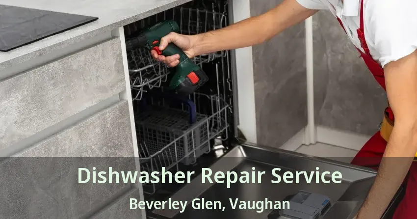 Dishwasher Repair Service Beverley Glen, Vaughan - ON