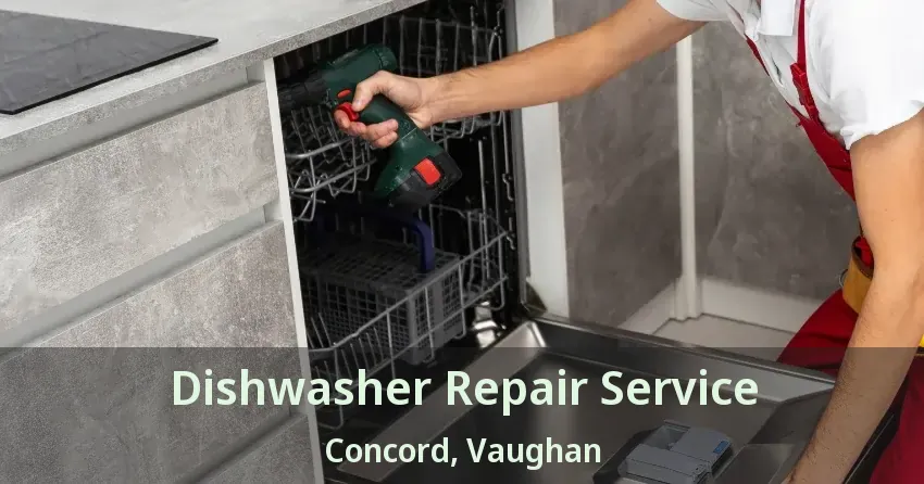 Dishwasher Repair Service Concord, Vaughan - ON