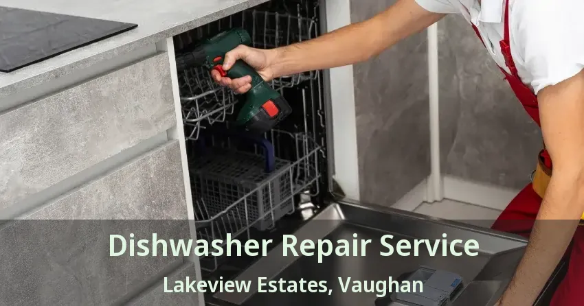 Dishwasher Repair Service Lakeview Estates, Vaughan - ON
