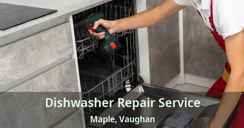 Dishwasher Repair Service Maple, Vaughan - ON