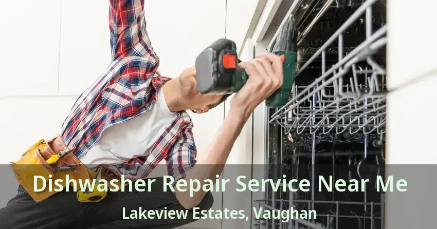 Dishwasher Repair Service Near Me Lakeview Estates, Vaughan - ON