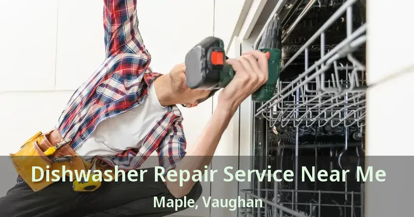 Dishwasher Repair Service Near Me Maple, Vaughan - ON