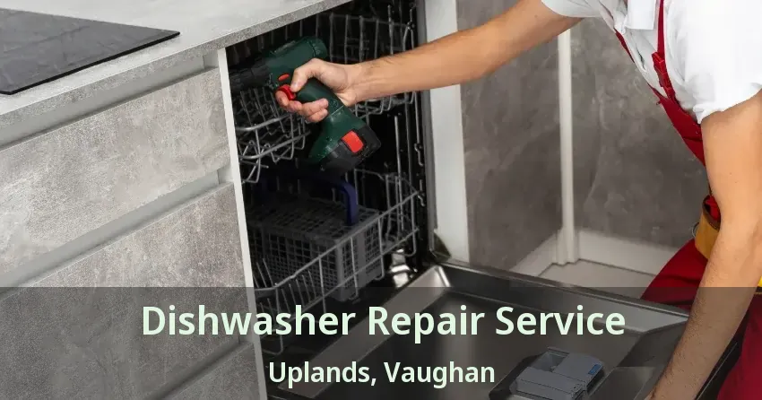 Dishwasher Repair Service Uplands, Vaughan - ON