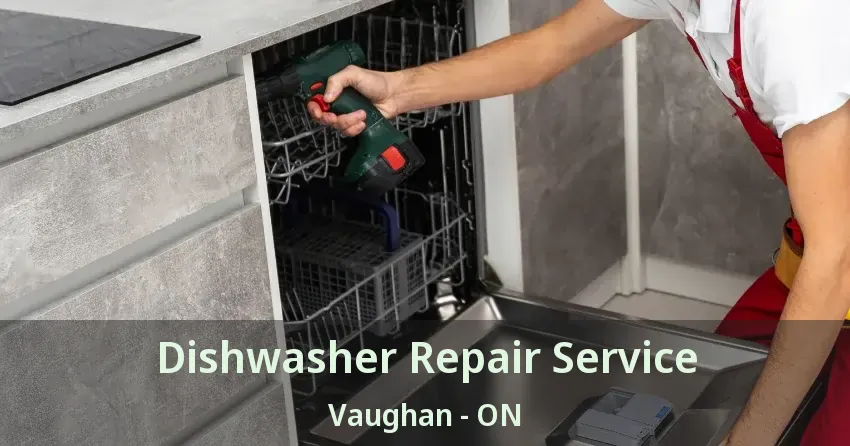 Dishwasher Repair Service Vaughan - ON