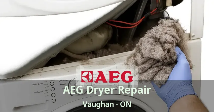 AEG Dryer Repair Vaughan - ON