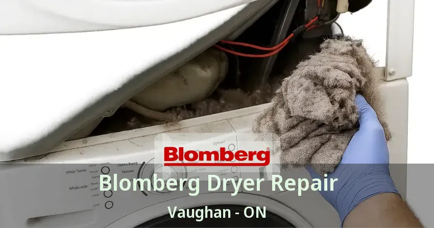 Blomberg Dryer Repair Vaughan - ON