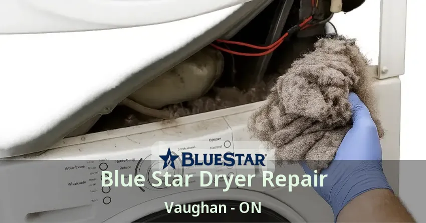 Blue Star Dryer Repair Vaughan - ON