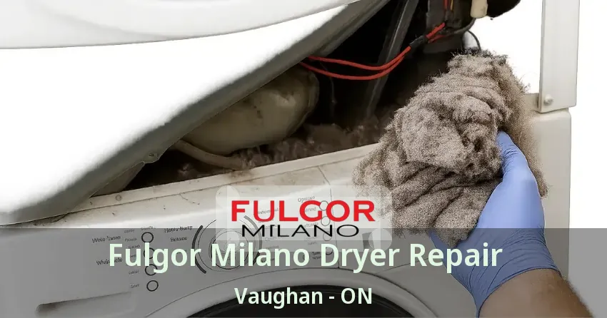 Fulgor Milano Dryer Repair Vaughan - ON