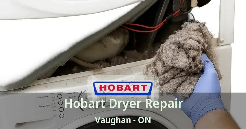 Hobart Dryer Repair Vaughan - ON