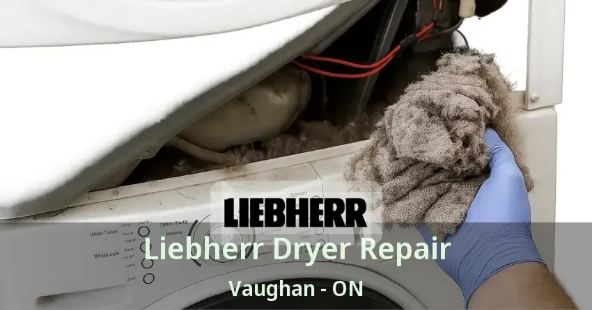 Liebherr Dryer Repair Vaughan - ON