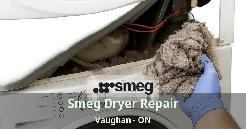 Smeg Dryer Repair Vaughan - ON