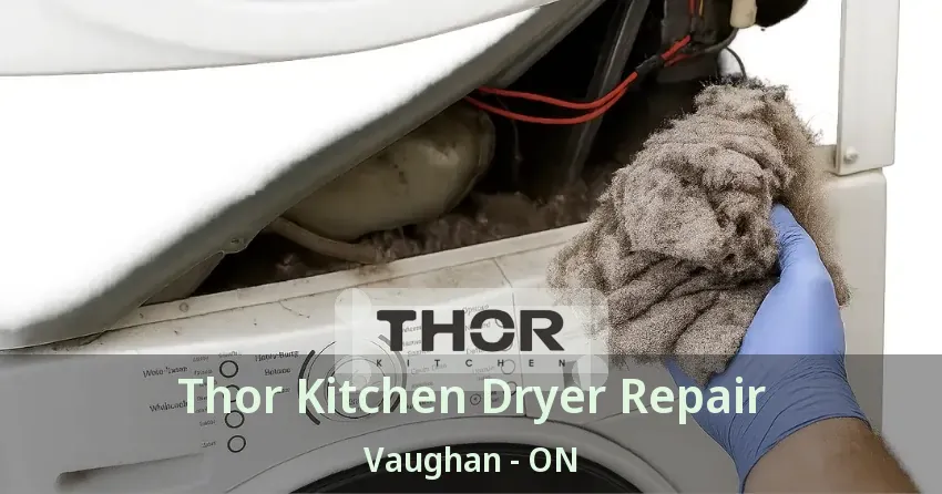 Thor Kitchen Dryer Repair Vaughan - ON
