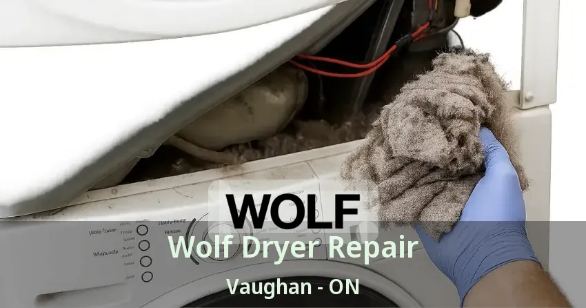 Wolf Dryer Repair Vaughan - ON