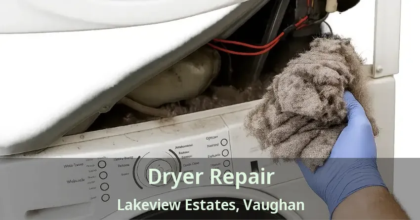 Dryer Repair Lakeview Estates, Vaughan - ON
