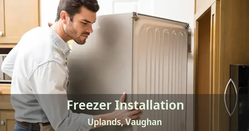 Freezer Installation Uplands, Vaughan - ON