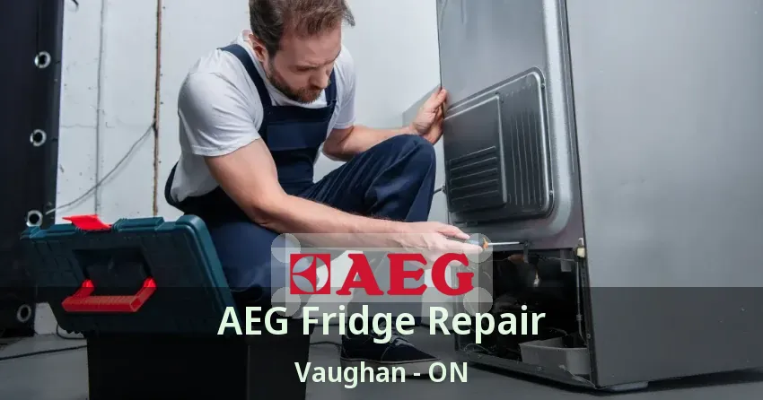 AEG Fridge Repair Vaughan - ON
