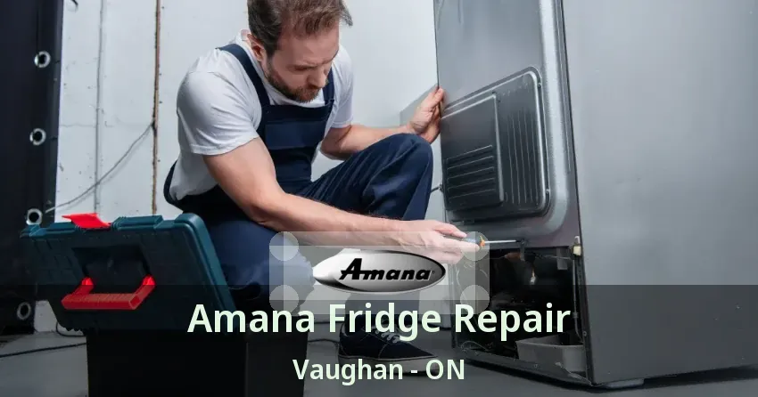 Amana Fridge Repair Vaughan - ON