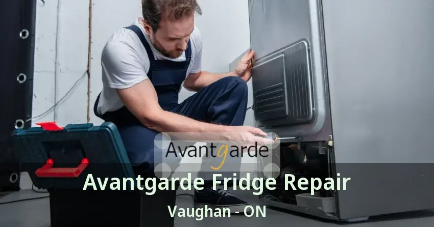 Avantgarde Fridge Repair Vaughan - ON