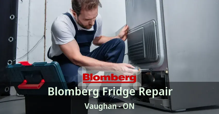 Blomberg Fridge Repair Vaughan - ON