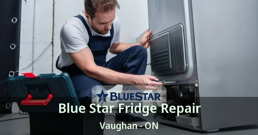 Blue Star Fridge Repair Vaughan - ON