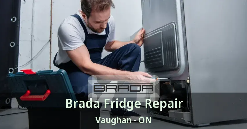 Brada Fridge Repair Vaughan - ON