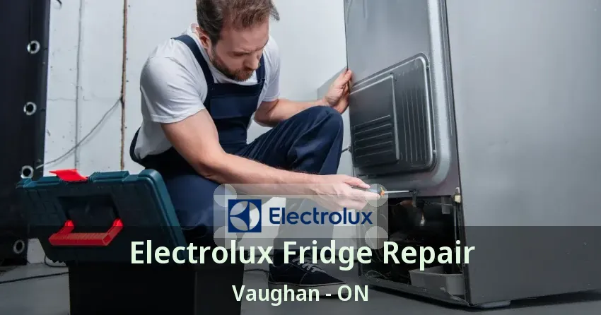 Electrolux Fridge Repair Vaughan - ON
