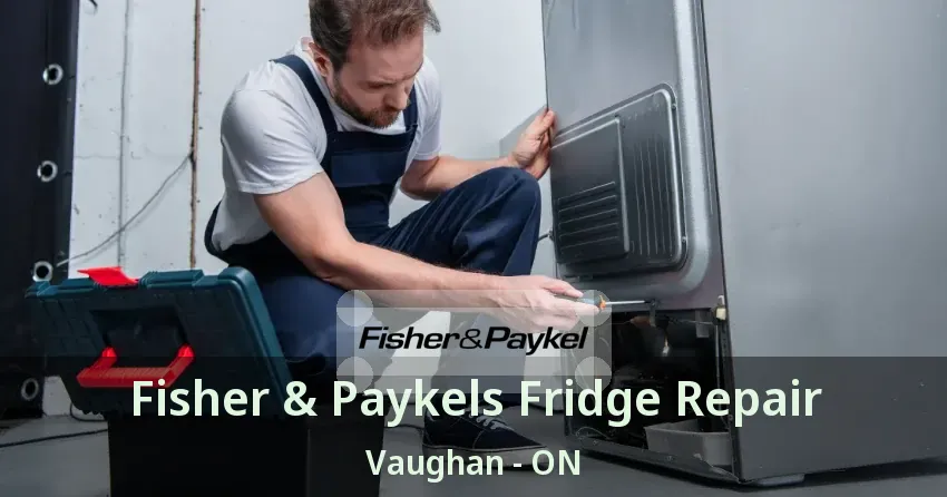 Fisher & Paykels Fridge Repair Vaughan - ON