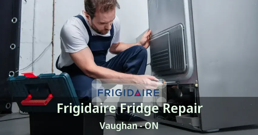Frigidaire Fridge Repair Vaughan - ON